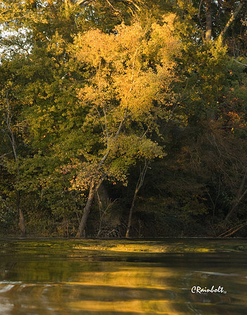 Fall Reflections